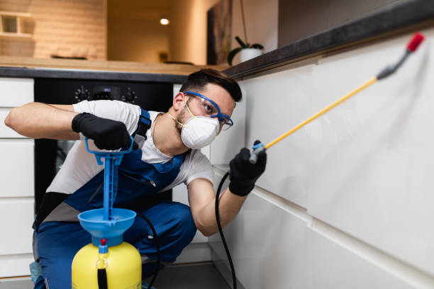 Best Best Pest Control Companies  in Masonville, KY