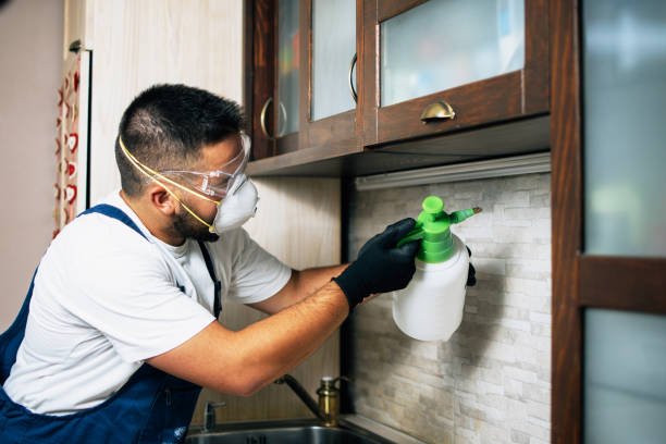 Best Commercial Pest Control Services  in Masonville, KY