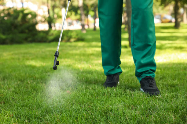 Best Cockroach Control Services  in Masonville, KY