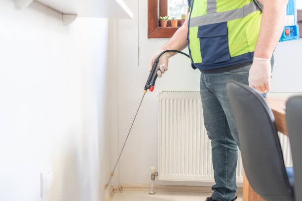 Best Termite Control Services  in Masonville, KY