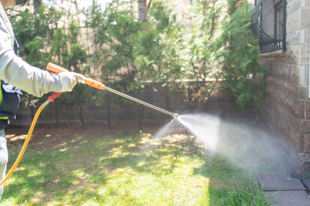 Wasp Removal Services in Masonville, KY