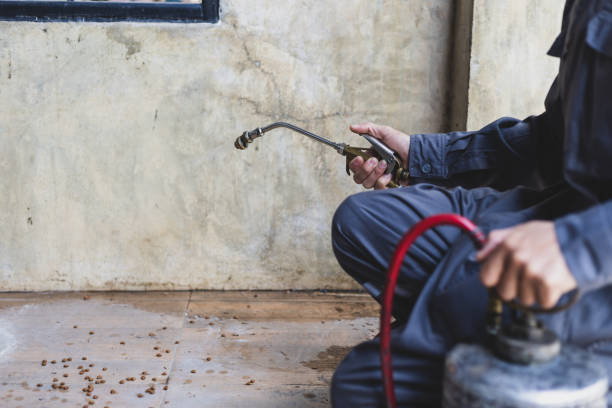Best Exterminator Services  in Masonville, KY